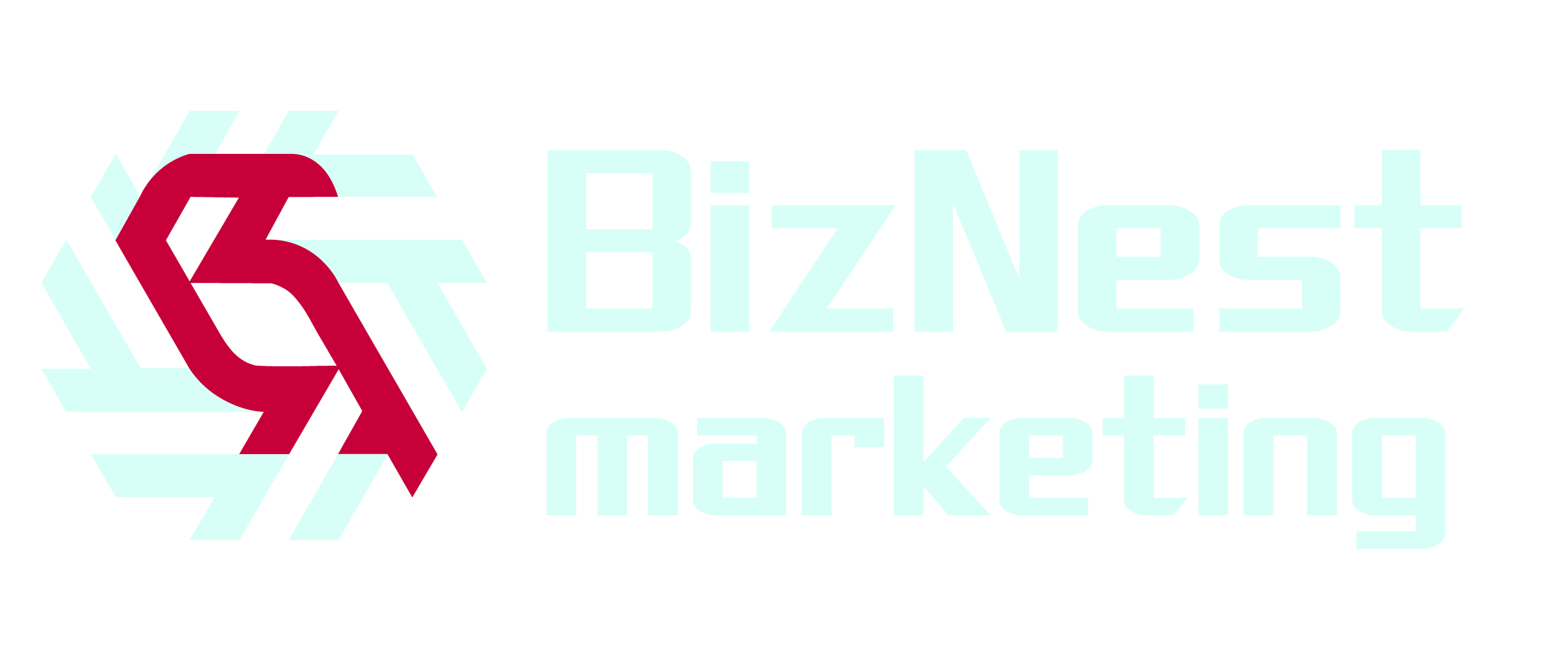 BizNest Marketing logo